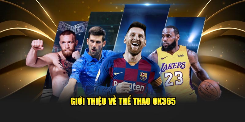 Giới thiệu về thể thao OK365