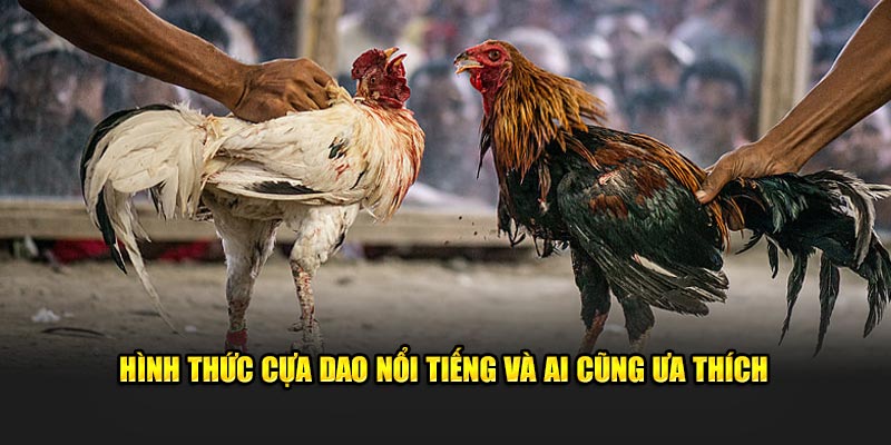 Hình thức cựa dao nổi tiếng và ai cũng ưa thích 