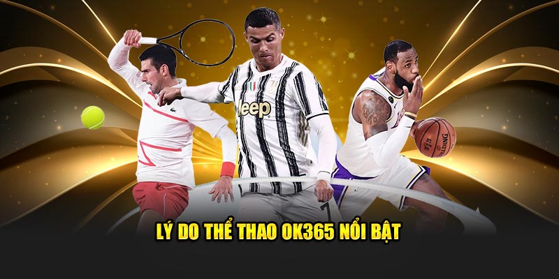 Lý do thể thao OK365 nổi bật 