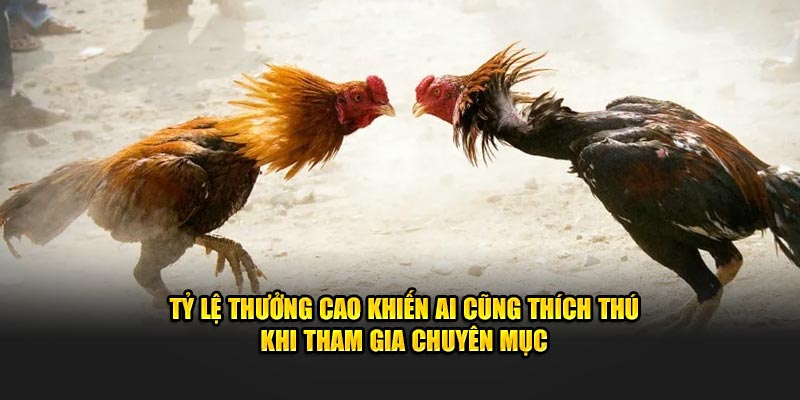 Tỷ lệ thưởng cao khiến ai cũng thích thú khi tham gia chuyên mục 